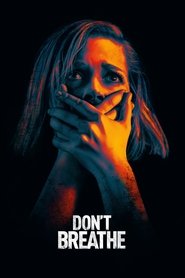 Don’t Breathe (2016)