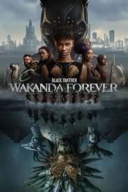 Black Panther: Wakanda Forever (2022) Subtitle Indonesia